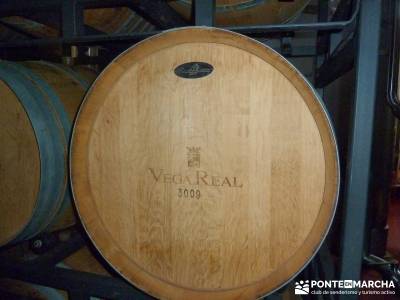 Visita enológica a la Ribera de Duero;senderismo asturias rutas malaga senderismo senderismo alican